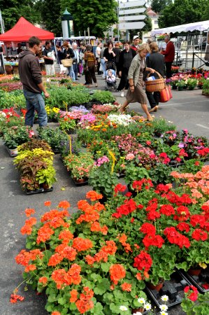 Marché