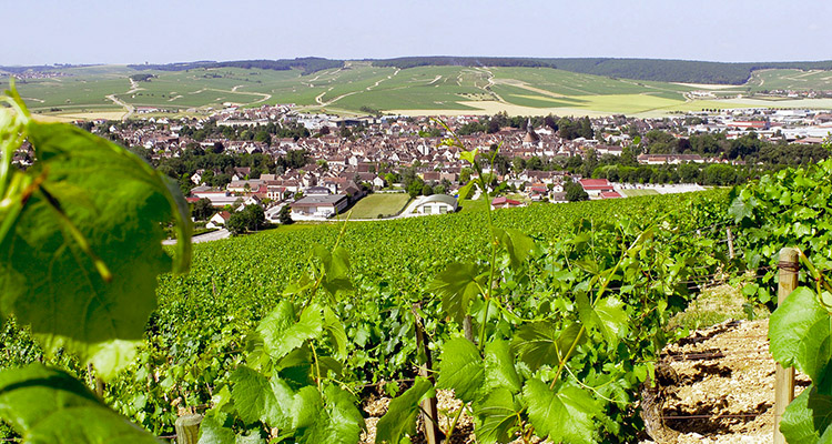 Visiter La Ville De Chablis Visiter La Ville De Chablis