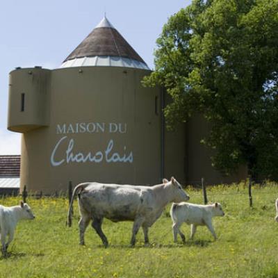 Maison du Charolais