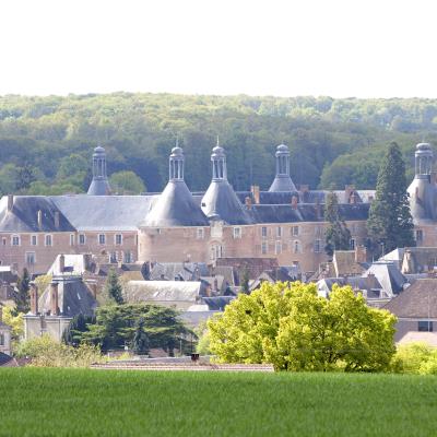 Château de Saint-Fargeau - Crédit : christophe Lors