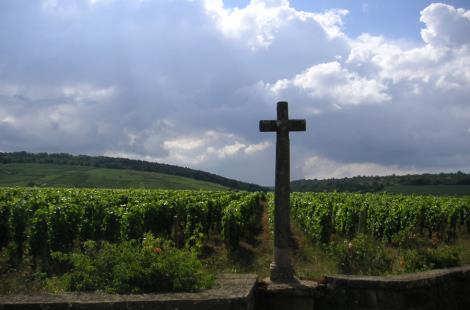 Domaine Coudray Bizot 2