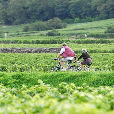 Givry - Crédit : Alain Doire / Bourgogne Tourisme