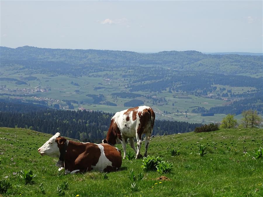 Office de Tourisme du Pays du Haut-Doubs | Tourisme en ...