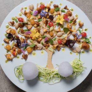 arbre-d-ete-aux-girolles-2—Jean-Michel Lorain arbre-d-ete-aux-girolles-2